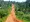 Jinja, Uganda: The Full Digital Nomad Life and Living Guide