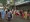 Victoria, Seychelles: Your Guide to Digital Nomad Visas and Daily Life
