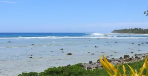 Avarua, Cook Islands: Your Full Guide to Thriving as a Digital Nomad