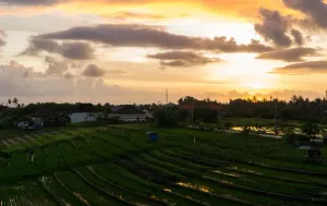 Canggu, Indonesia: The Full Digital Nomad Life and Living Guide