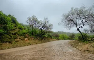 Salalah, Oman: The Full Digital Nomad Life and Living Guide